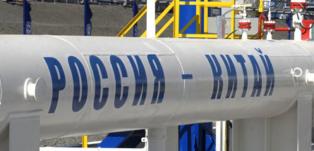 Почти половина экспорта нефти из России идет в Китай