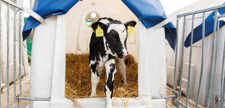 Названы лидеры в аграрном секторе нефтехимической отрасли