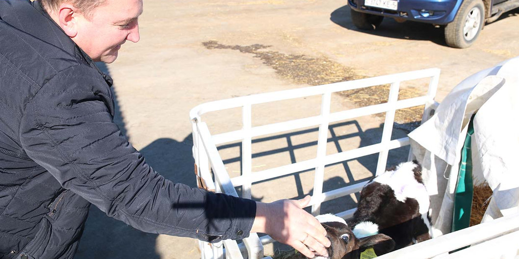 Весенний урожай наград