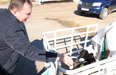 Весенний урожай наград