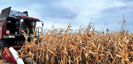 Высокий уровень работы закрепленных за «Белнефтехимом» сельхозпредприятий отметил Петр Пархомчик