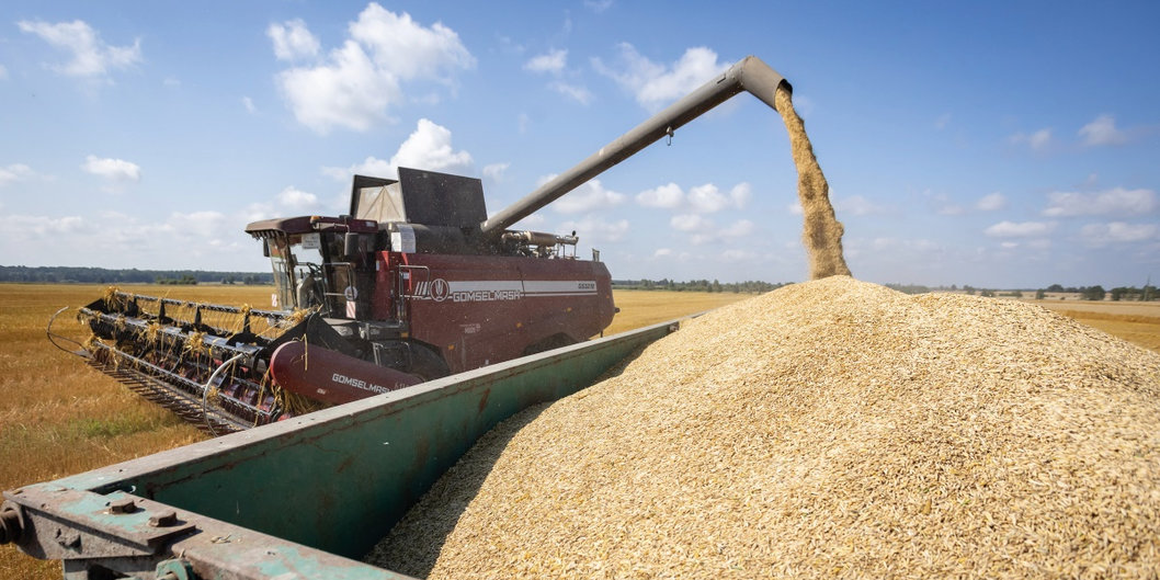 Сельхозорганизации нефтехимического комплекса значительно улучшили результаты уборочной кампании