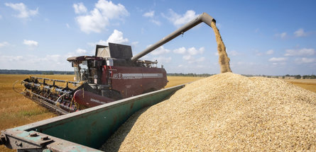 Сельхозорганизации нефтехимического комплекса значительно улучшили результаты уборочной кампании