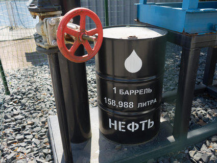 «Роснефть» предлагает привязать отраслевые налоги к новому для российской практики сорту — Dubai