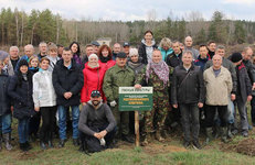 ЛЕСНАЯ ПОЛОСА — ВСЕМУ ПОЛЮ КРАСА