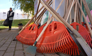 Республиканский субботник пройдет в Беларуси 18 апреля