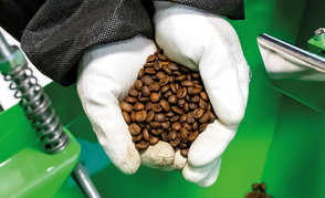 Успехи кофейно-чайного бизнеса на АЗС «Белоруснефти»