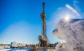 В январе фонд скважин на месторождениях «Белоруснефти» пополнился новыми объектами