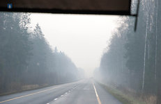 Беларусь и Россия договорились создать аналог «Зеленой карты»