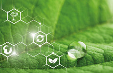 Почем сейчас углеродная единица и сколько стоит декарбонизация 