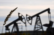 НПЗ Германии сокращают производство топлива после запрета импорта нефти из России