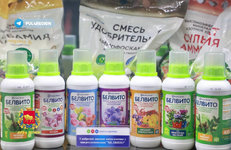 «Гродно Азот» — объект внимания китайского рынка