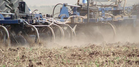 В РФ создадут кластер по производству азотных удобрений  