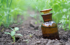 Инновационный завод жидких удобрений может появиться в Татарстане