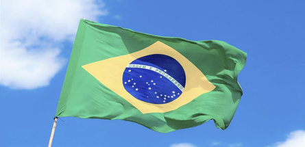 Бразилия увеличила импорт нефтепродуктов из России за август