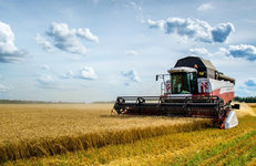 Успехи РУП «Белоруснефть-Особино» и СУП «П-С Карпеки» в уборочной кампании