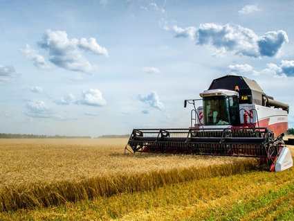 Успехи РУП «Белоруснефть-Особино» и СУП «П-С Карпеки» в уборочной кампании