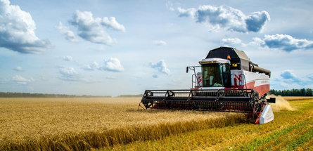 Успехи РУП «Белоруснефть-Особино» и СУП «П-С Карпеки» в уборочной кампании