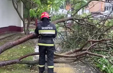 Спасатели ликвидируют последствия грозы