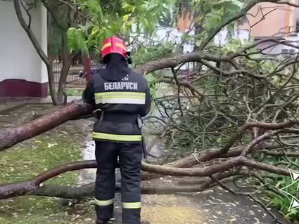 Спасатели ликвидируют последствия грозы