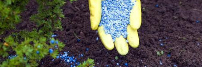 Поставки белорусских калийных удобрений в Индию сократились