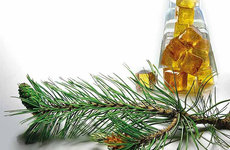 НАЙТИ В ЛЕСУ ЛЕС