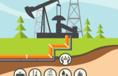 ОСОБЕННОСТИ НАЦИОНАЛЬНЫХ РАЗРАБОТОК: инновации и научные разработки ГНПО «Химические продукты и технологии»