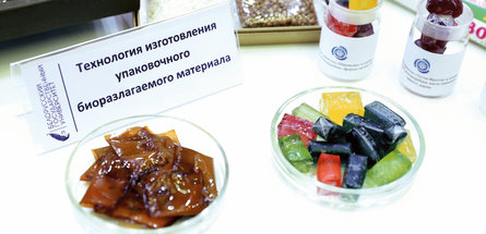 Новые биоразлагаемые упаковки разработали в лаборатории БГУ