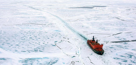   ПОЛИМЕР ДЛЯ АРКТИКИ