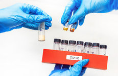 Импортозамещающие материалы для зеленой химии разработали в российском университете