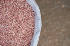 Калийные удобрения начнут производить в Казахстане