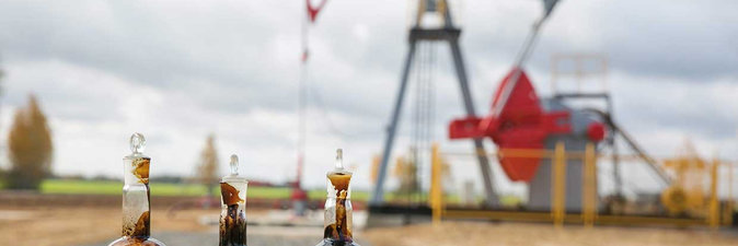 СКОЛЬКО НЕФТИ В НЕДРАХ БЕЛАРУСИ?  Виртуальная дискуссия «Углеводородные перспективы недр Беларуси»