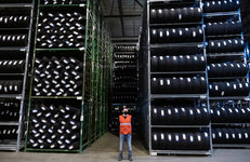 Шинный завод Nokian Tyres может возобновить работу в составе «Татнефти»