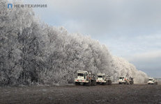 Позывные сейсморазведки   