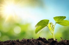 Минприроды РФ расширило список веществ, загрязняющих воздух