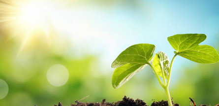 Минприроды РФ расширило список веществ, загрязняющих воздух