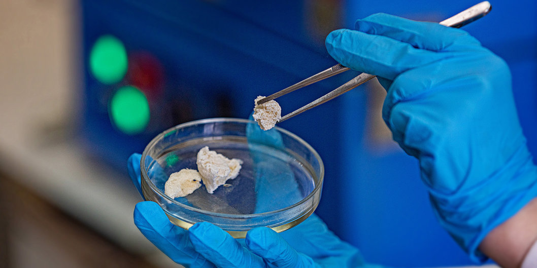 В РФ разработали основу для биоразлагаемой упаковки 