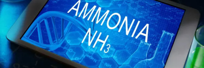 Hanwha и Ineos построят производство низкоуглеродного аммиака в США