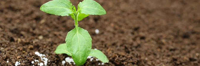 Глобальное потребление азотных удобрений поднимется на 3%