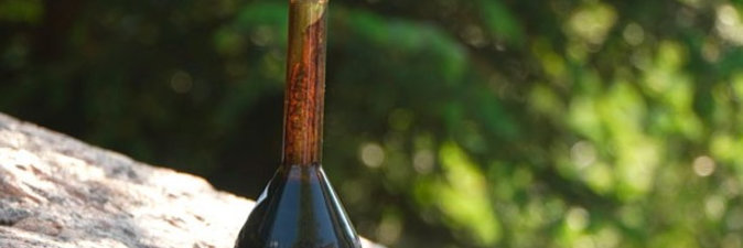 В Гомельской области открыли новое месторождение нефти