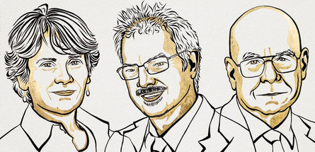 Нобелевской премией по химии — 2022 отмечен новый метод синтеза молекул