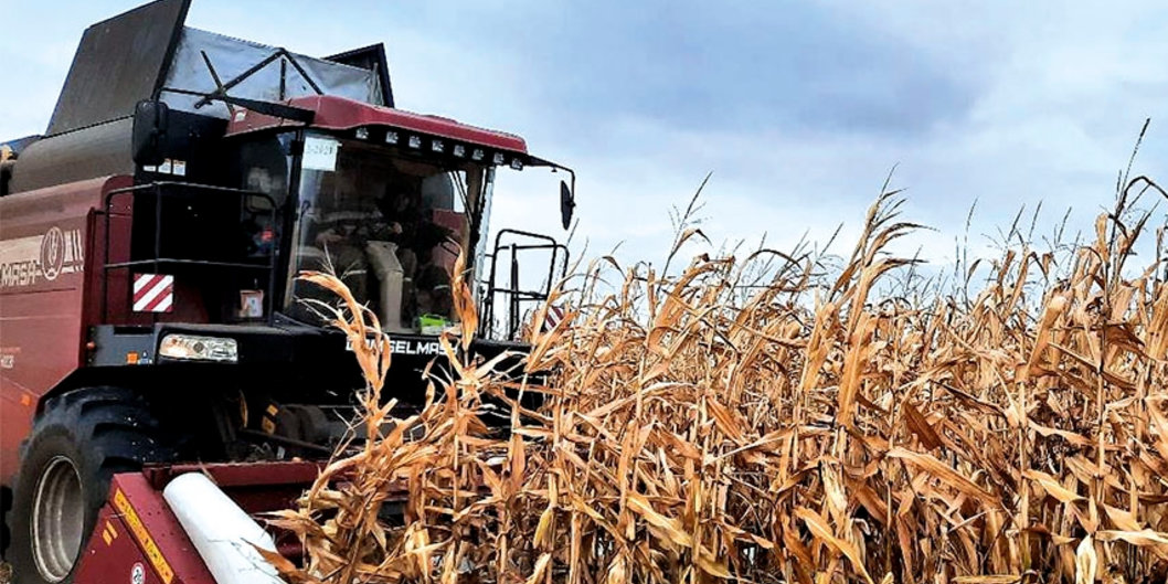 Названы лидеры в уборке зерновых