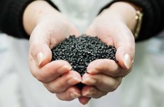 О создании отечественных полимеров