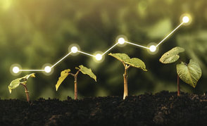 Мировое потребление удобрений к 2030 году вырастет на 23 млн тонн