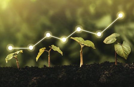 Мировое потребление удобрений к 2030 году вырастет на 23 млн тонн