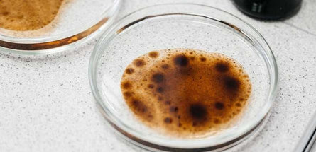 Российские ученые придумали способ отделения нефти от воды для повторного использования