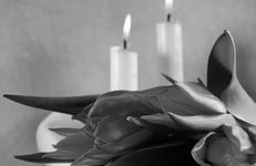 Соболезнование