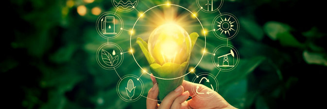 Энергетика Индии зеленеет