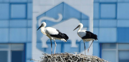 НАДЕЖНОСТЬ. ДОСТУПНОСТЬ. КАЧЕСТВО
