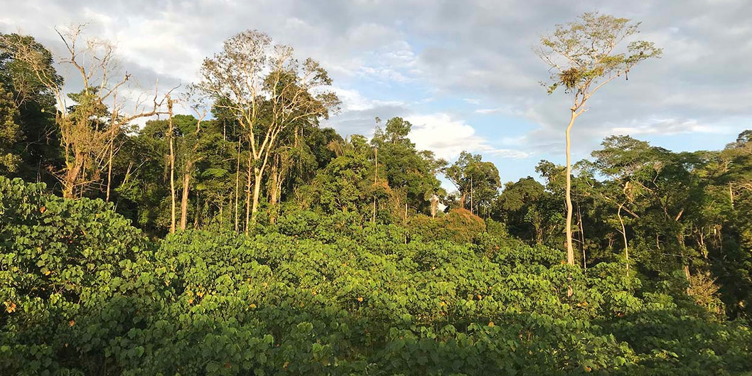 Вторая за месяц: белорусские нефтяники пробурили еще одну продуктивную скважину в Эквадоре